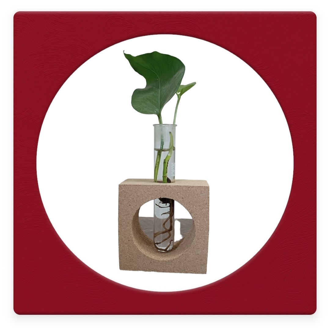 Cork Planter 2